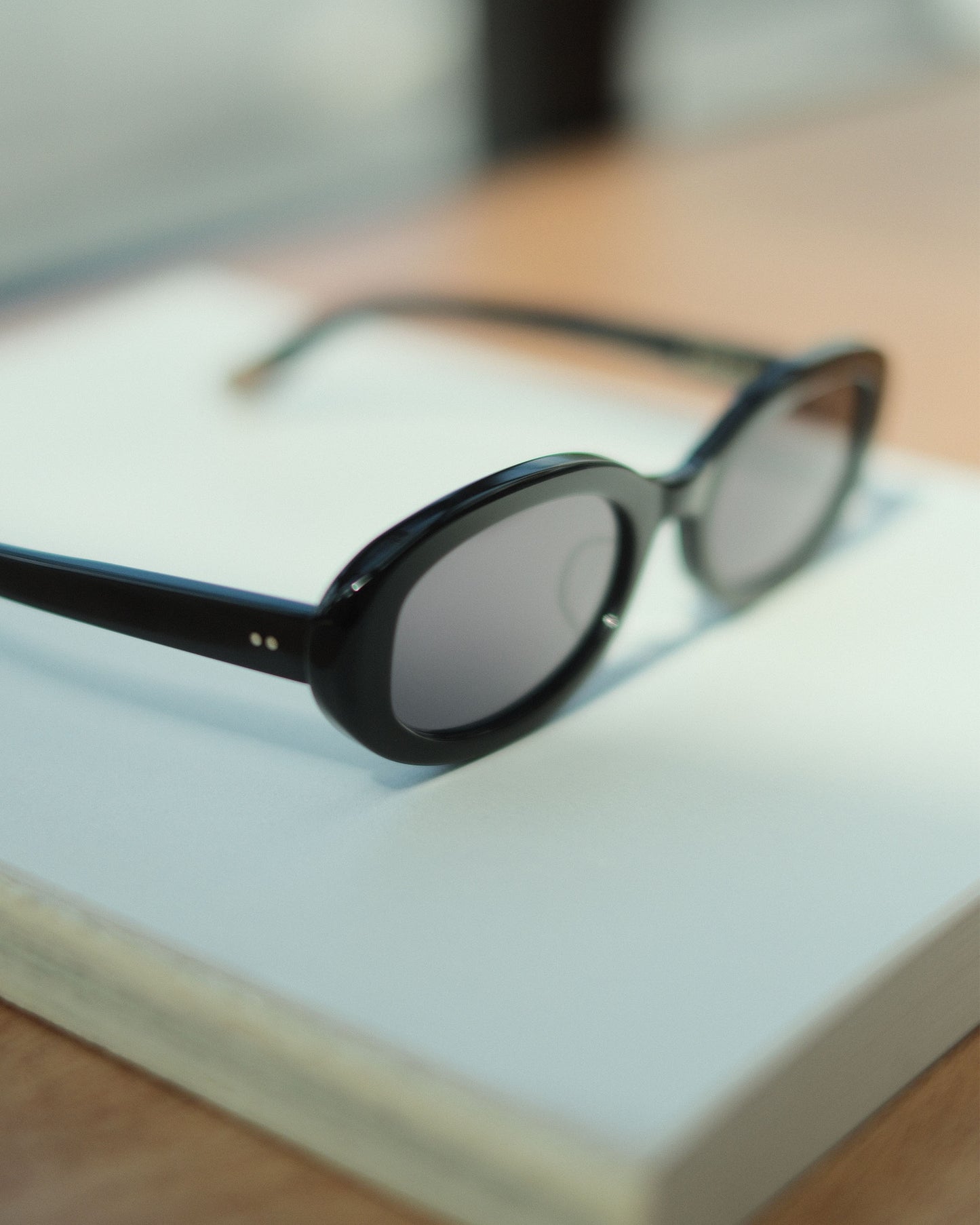 Ernie Palo × BLANC Sunglasses (EP11AC02)