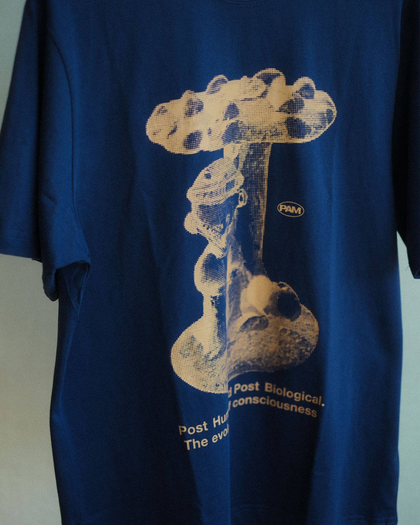 P.A.M. SHELTER SS TEE (1609/E)